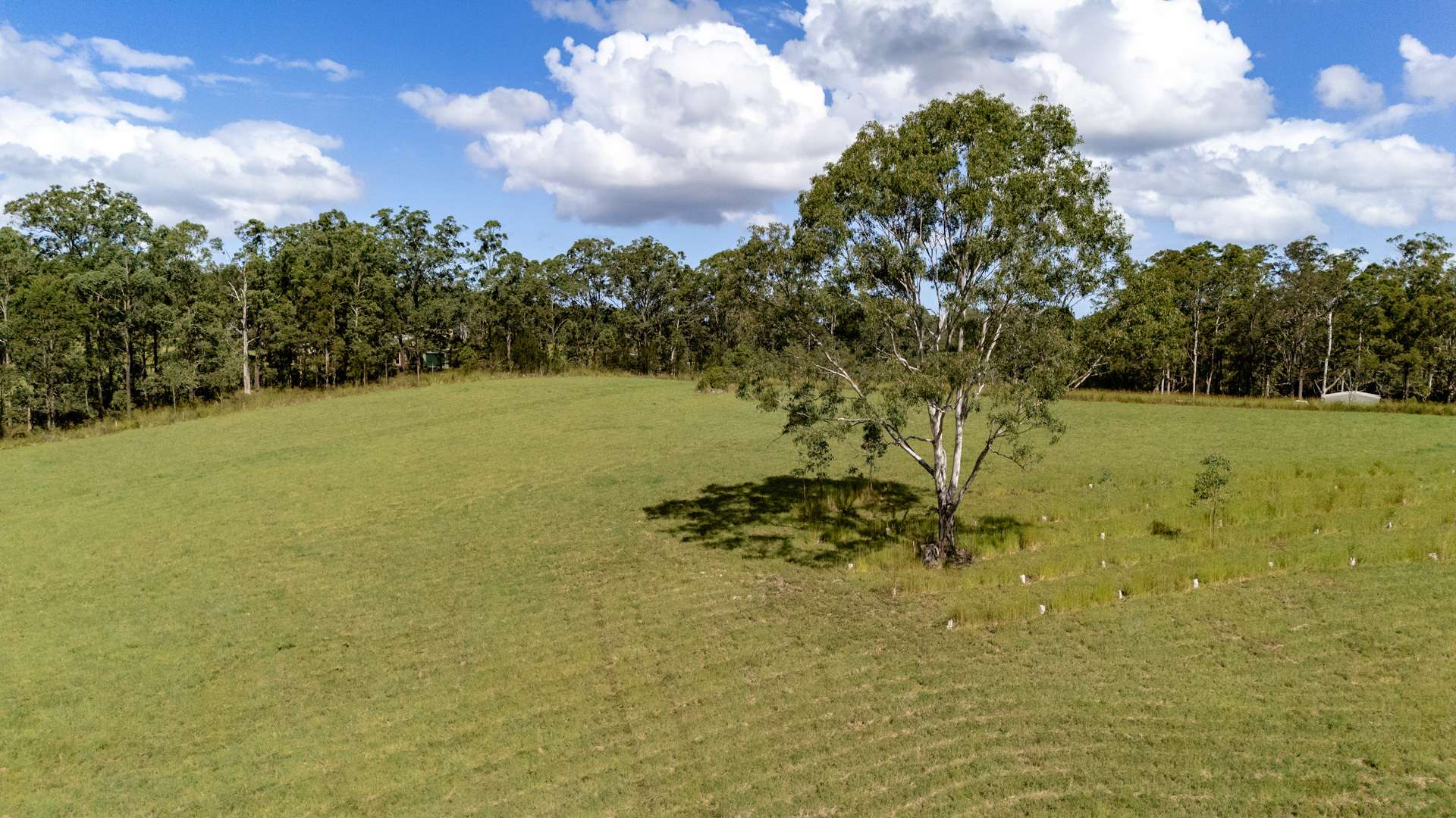 778 Central Lansdowne Road, Upper Lansdowne Auction by Farmbuy.com - image 6