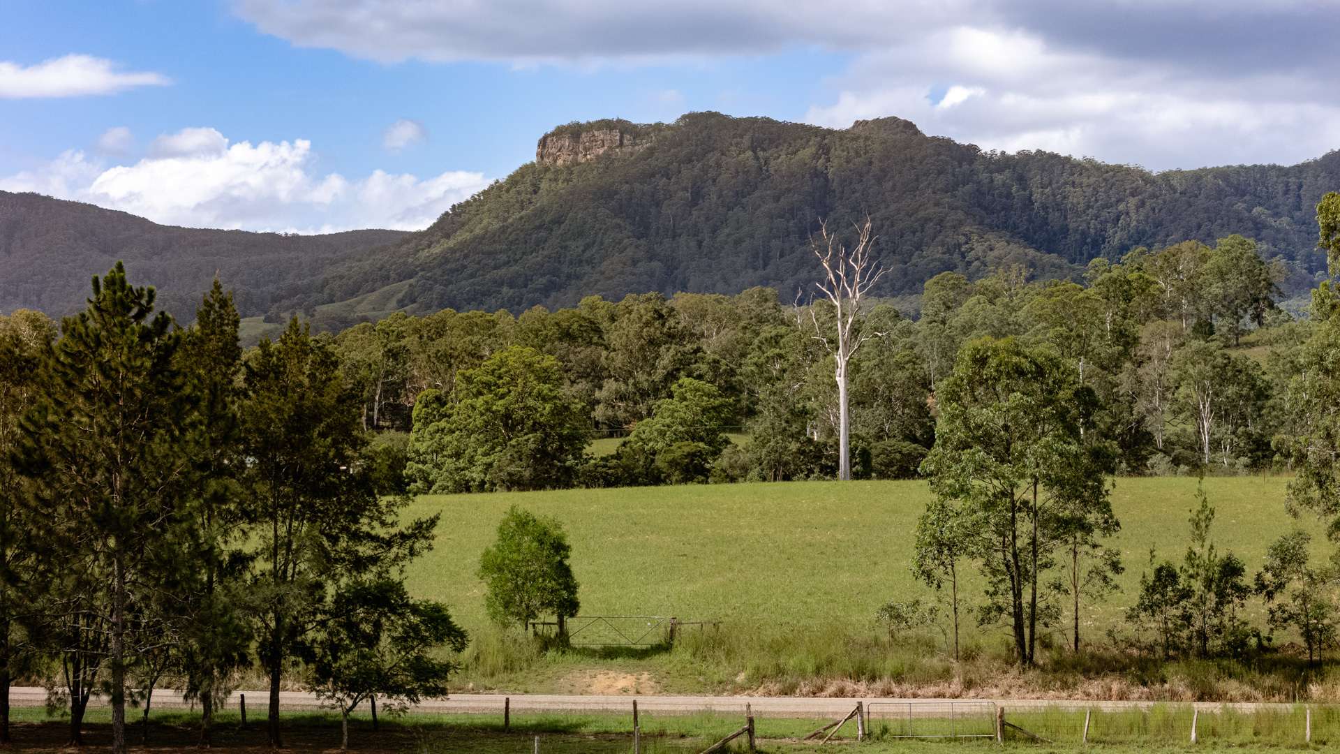 778 Central Lansdowne Road, Upper Lansdowne Auction by Farmbuy.com - image 11