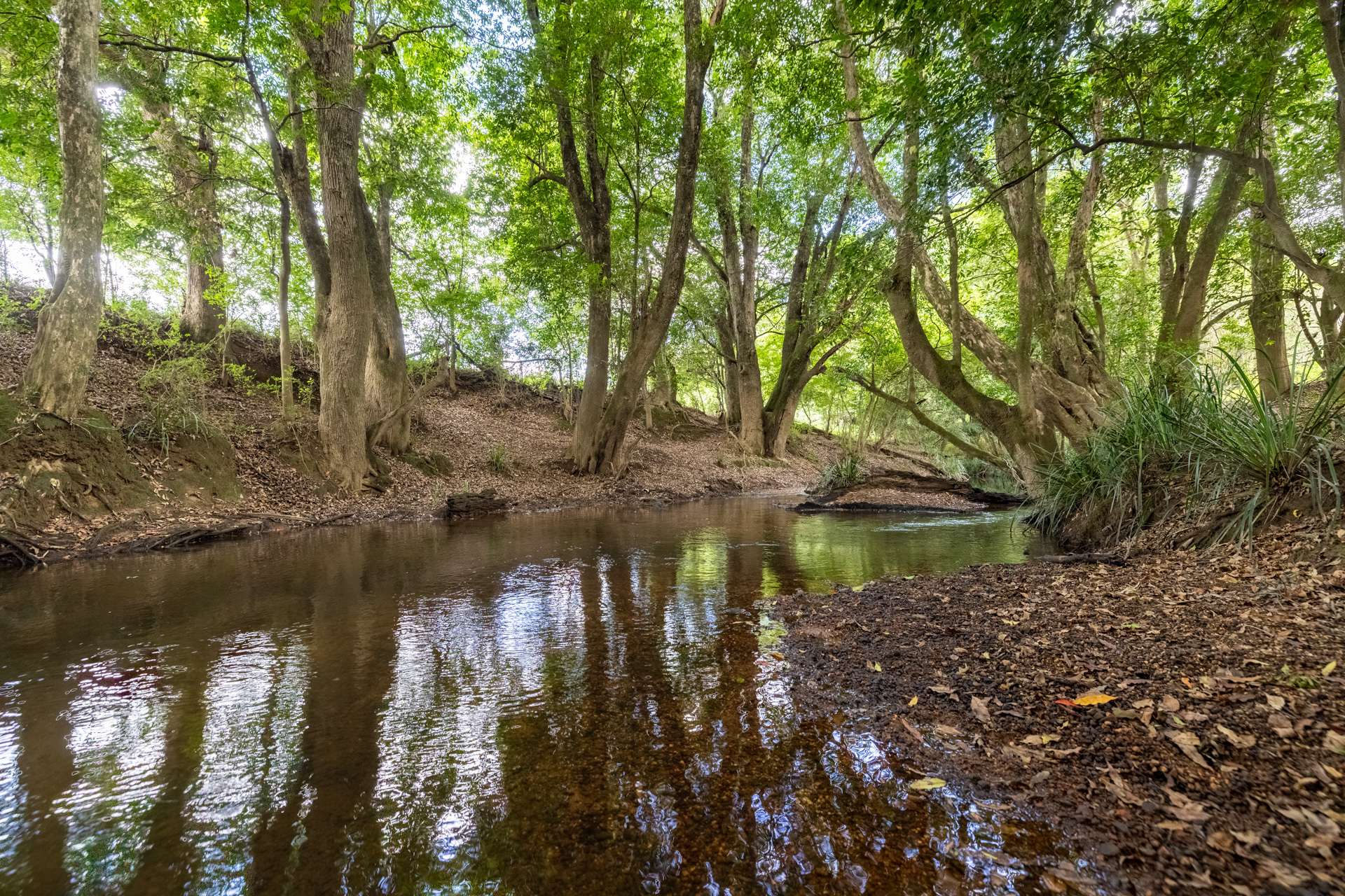778 Central Lansdowne Road, Upper Lansdowne Auction by Farmbuy.com - image 2