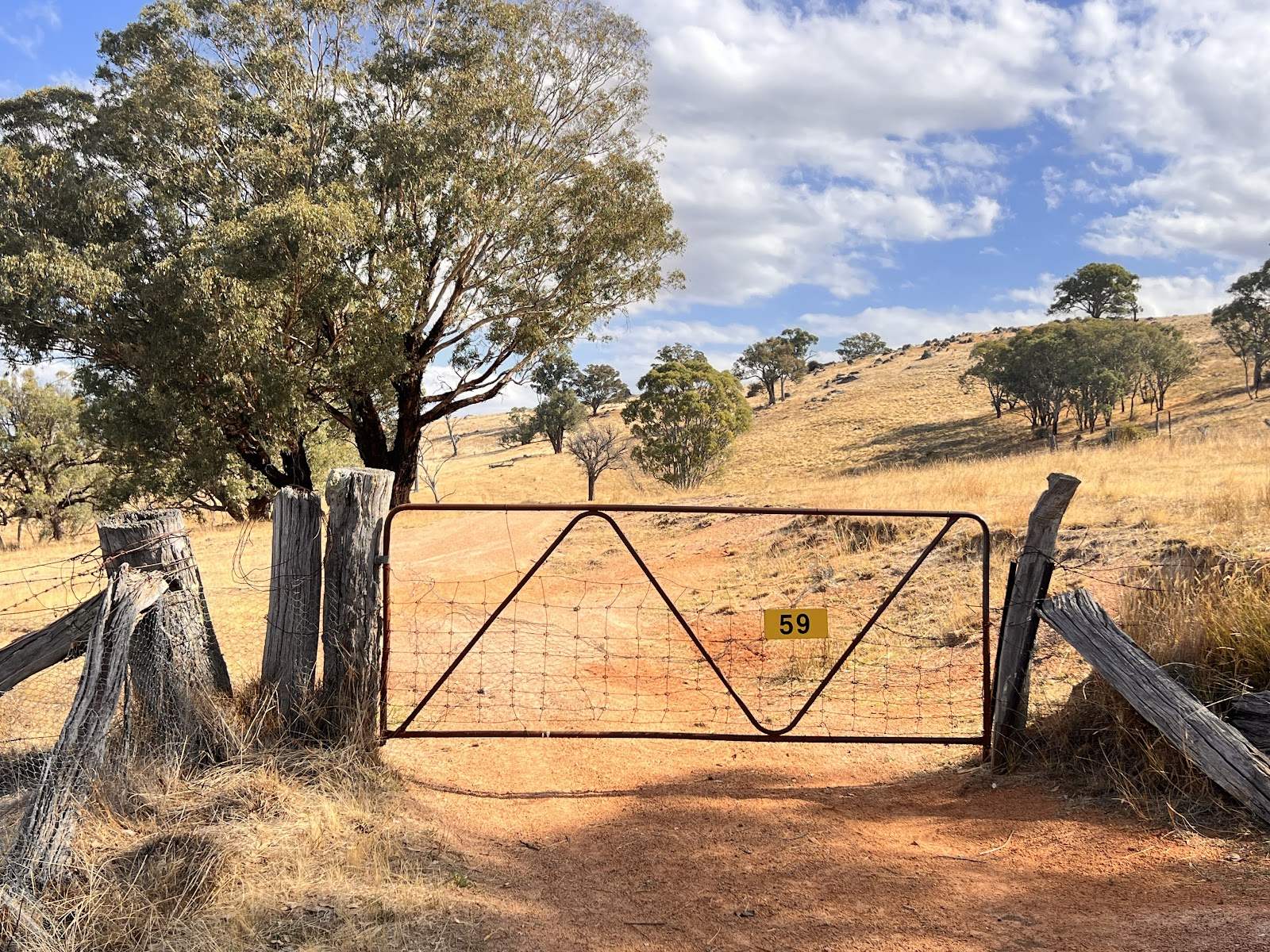 Lot 241 Hearn Street, Bigga For Sale by Farmbuy.com - image 21