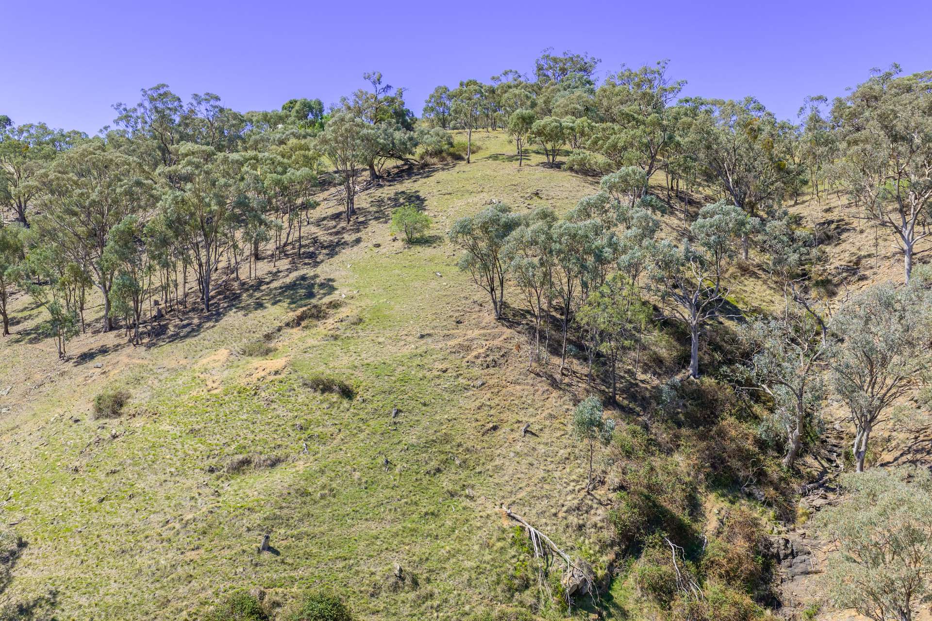 1000 Mount Mcdonald Road, Wyangala Auction by Farmbuy.com - image 5