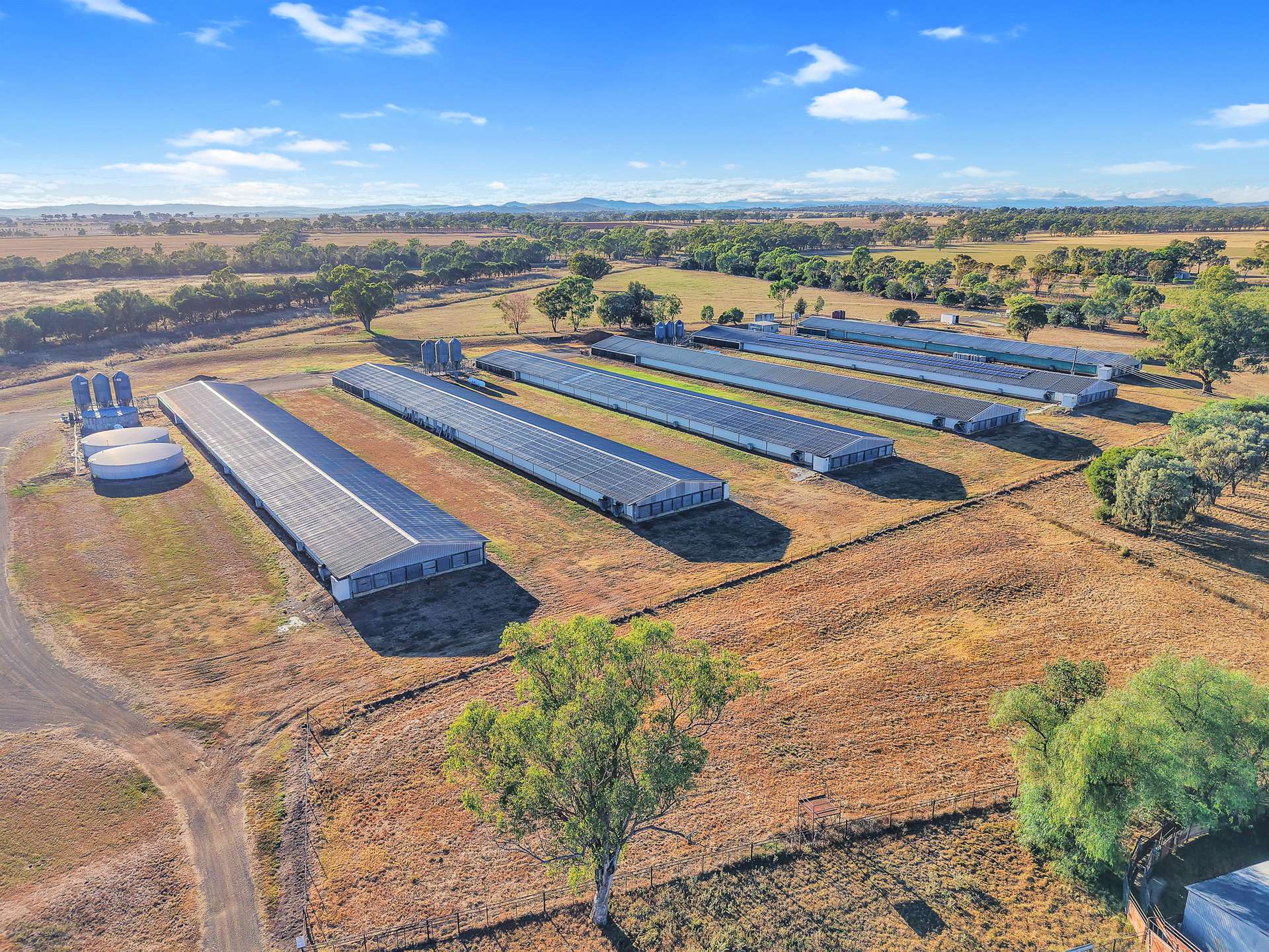 231 Duri-Dungowan Road, Duri For Sale by Farmbuy.com - image 22