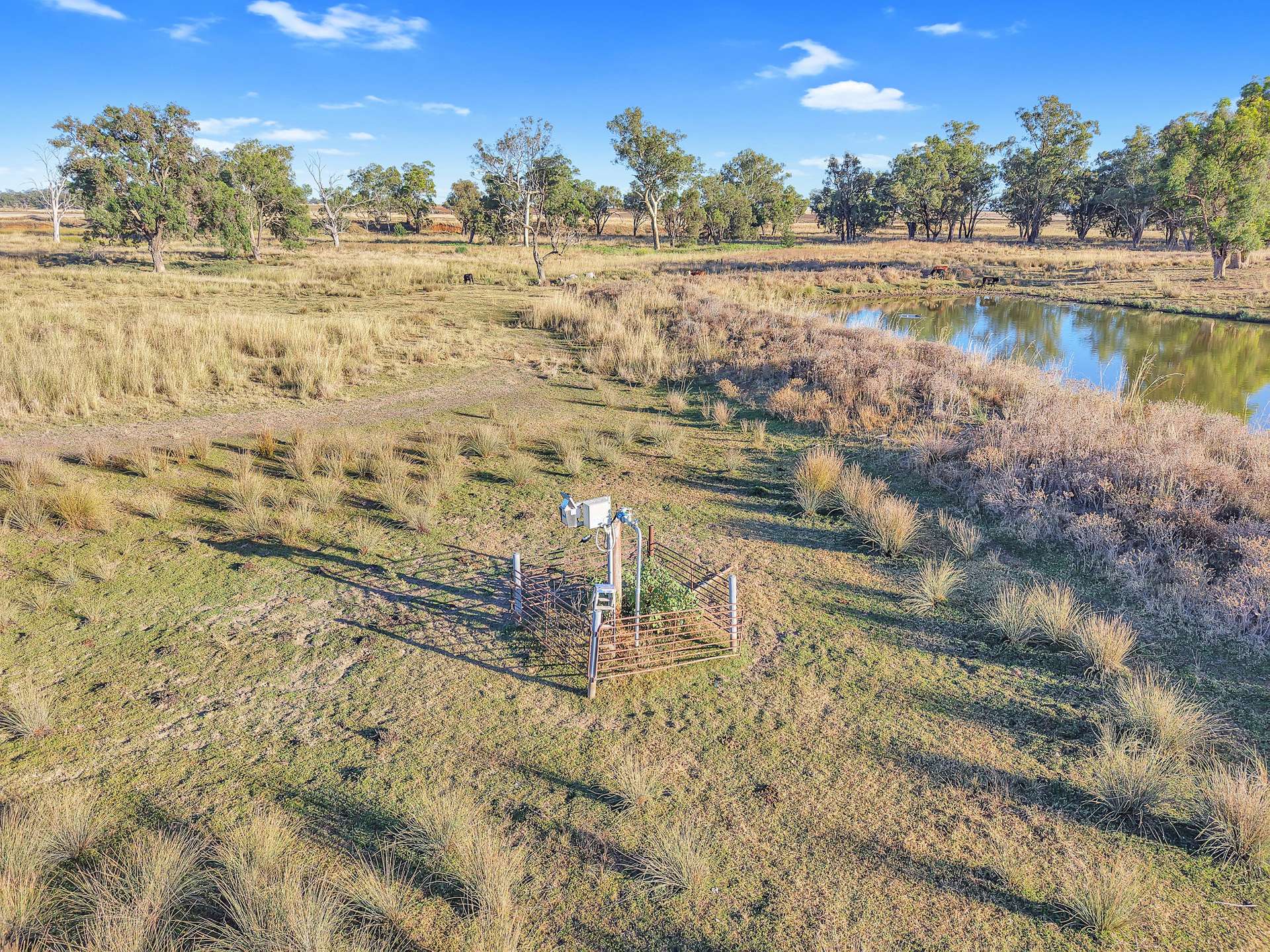 231 Duri-Dungowan Road, Duri For Sale by Farmbuy.com - image 14