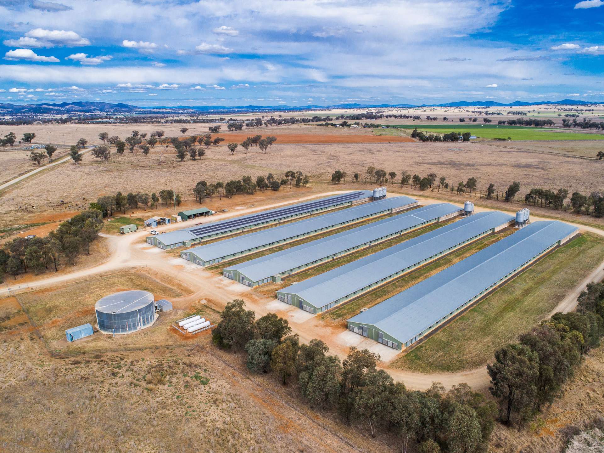 231 Duri-Dungowan Road, Duri For Sale by Farmbuy.com - image 21