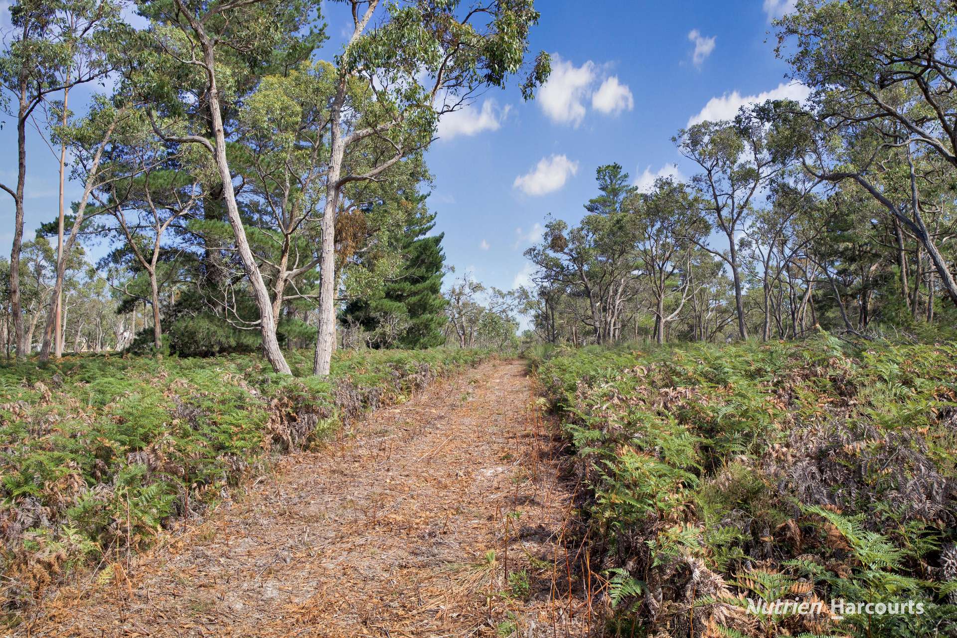 Lot 2 Patchings Road, Lake Mundi For Sale by Farmbuy.com - image 21