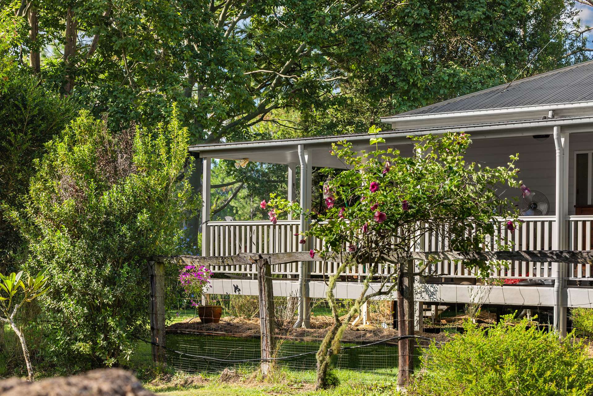 62 Old Mill Road, Carters Ridge For Sale by Farmbuy.com - image 25