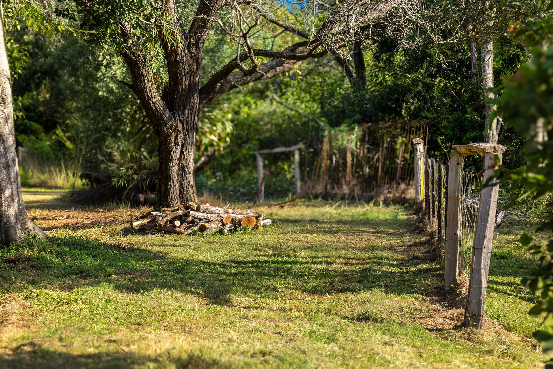 62 Old Mill Road, Carters Ridge For Sale by Farmbuy.com - image 21