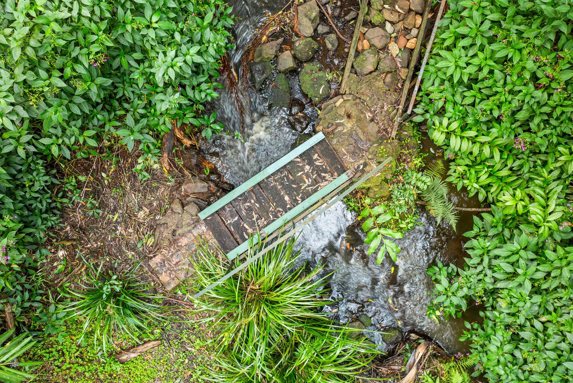 56 Gumland Drive, Witta For Sale by Farmbuy.com - image 31