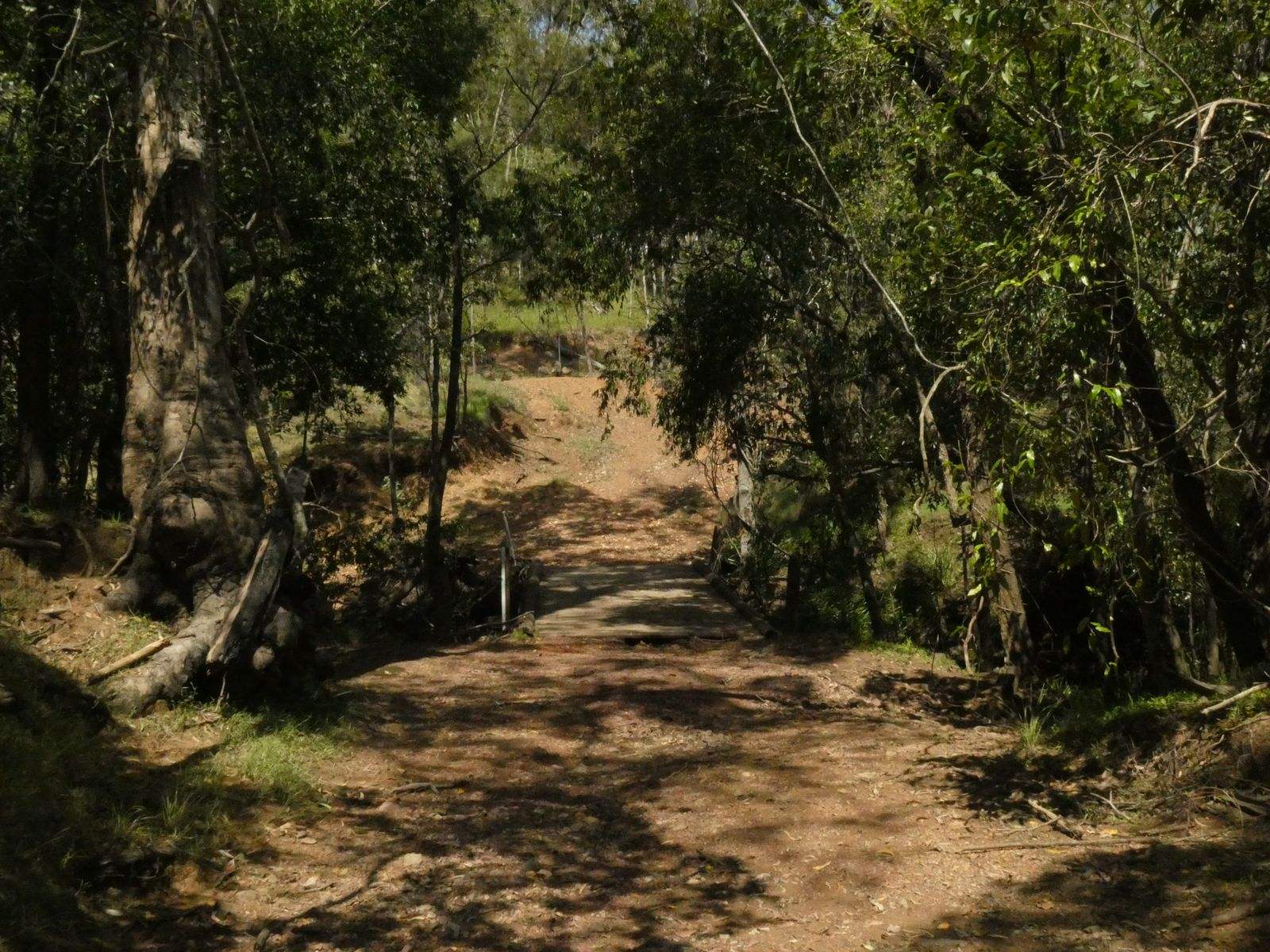 510 Promisedland Road, Promisedland For Sale by Farmbuy.com - image 27