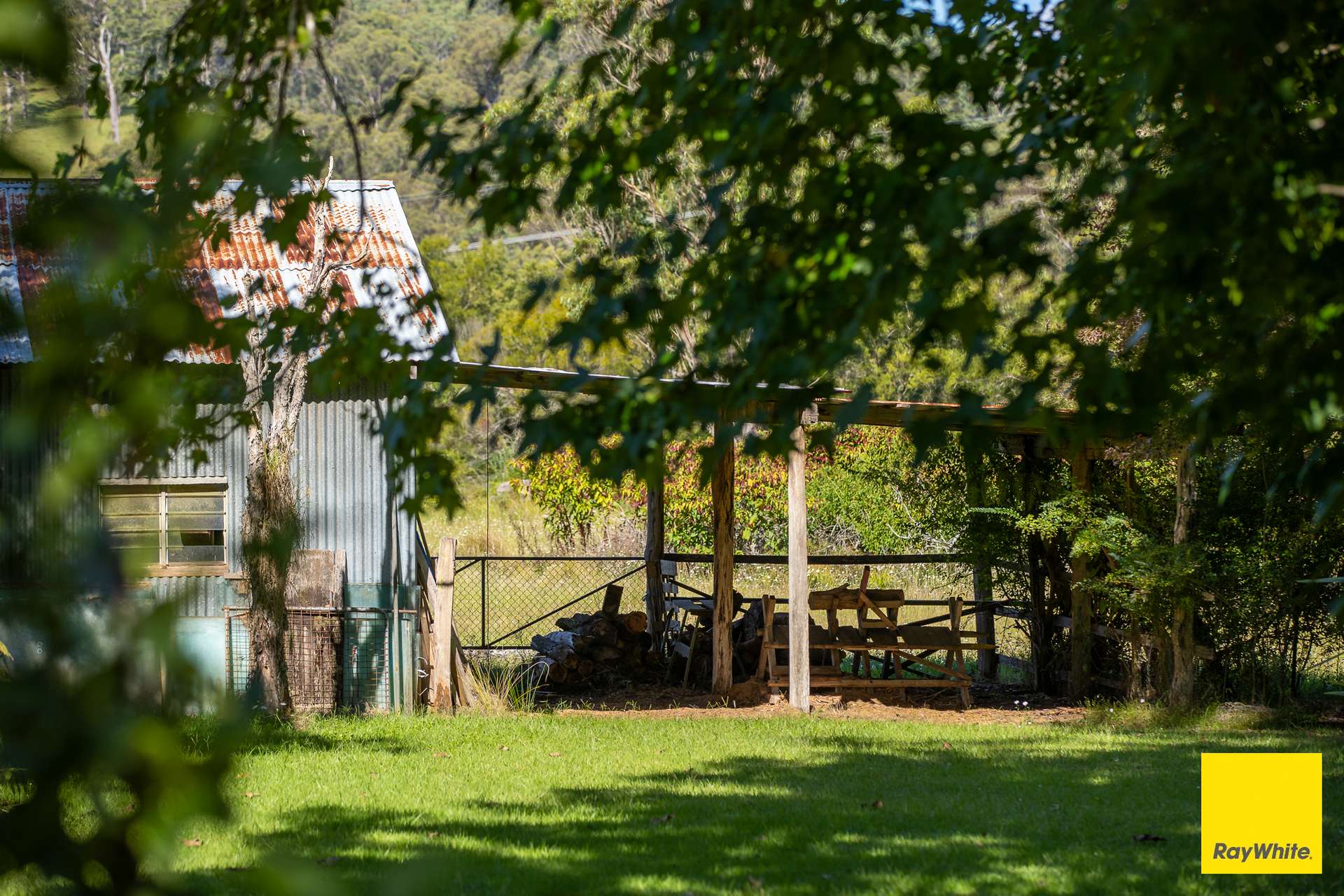 126 Cross Street, Dorrigo For Sale by Farmbuy.com - image 4