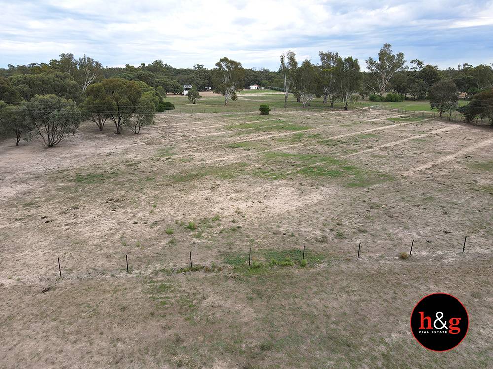 161 Barmah-Shepparton Road, Barmah For Sale by Farmbuy.com - image 4