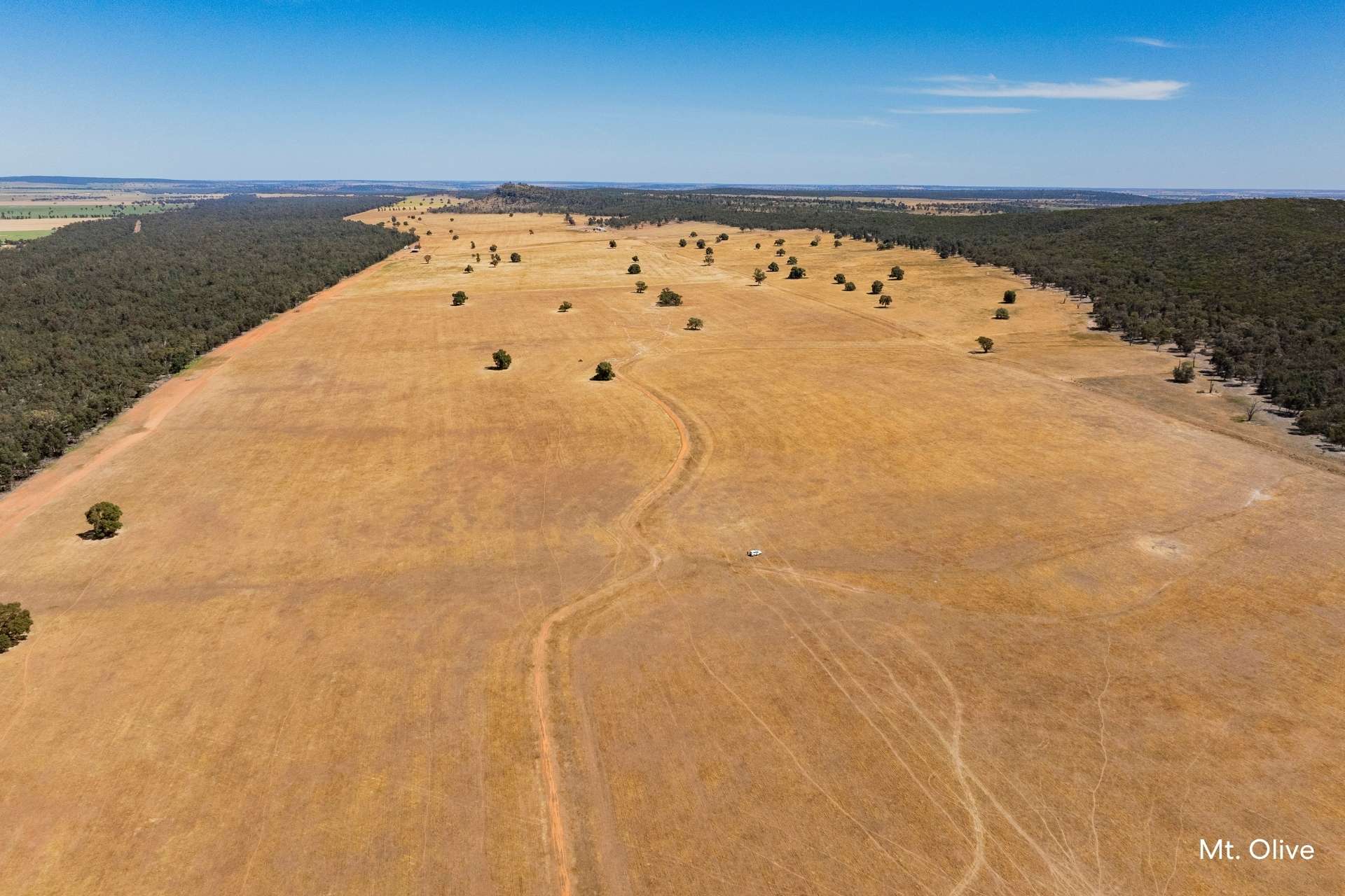 Kamarah Road, Narrandera For Sale by Farmbuy.com - image 15