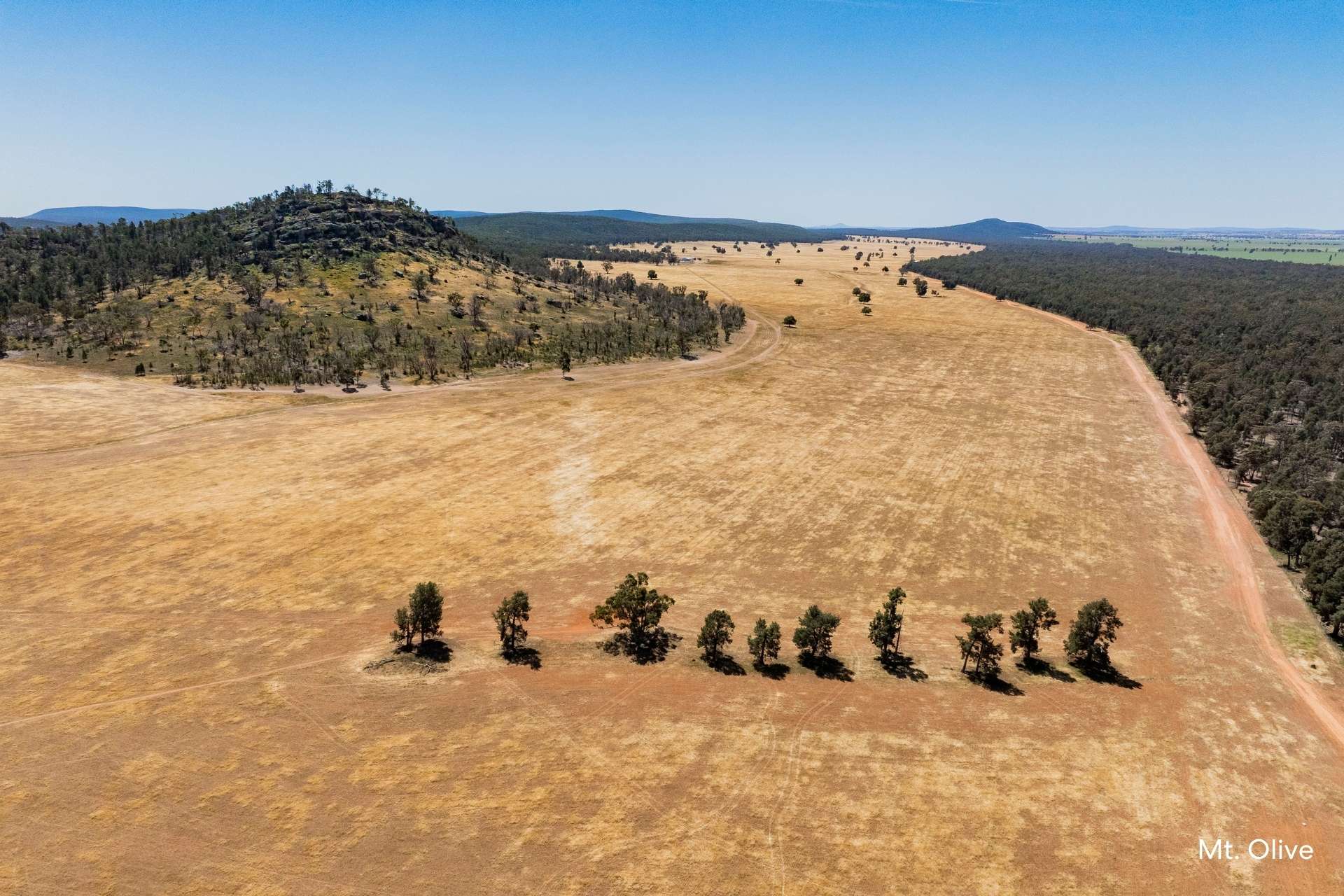 Kamarah Road, Narrandera For Sale by Farmbuy.com - image 16
