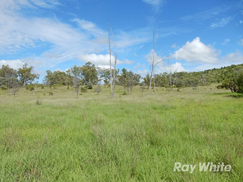 "Scrubview" Frawleys Road, Thangool For Sale by Farmbuy.com - image 22