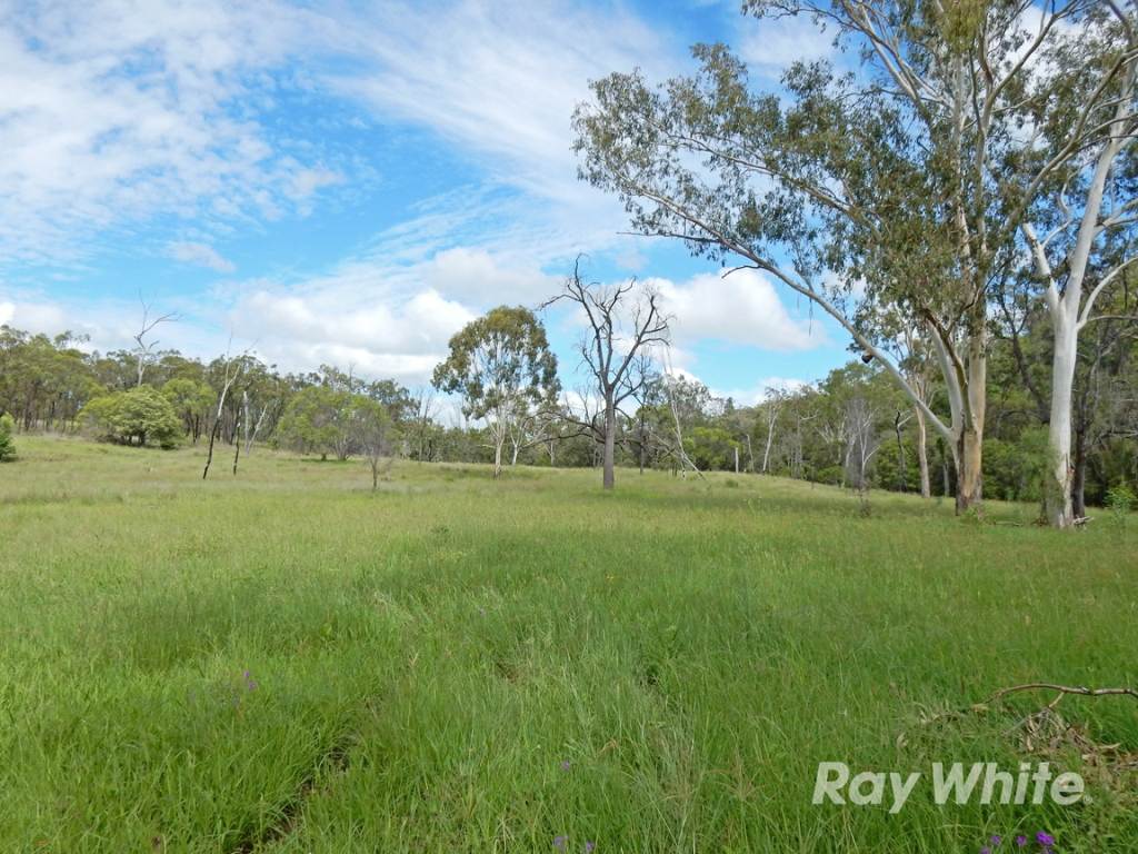 "Scrubview" Frawleys Road, Thangool For Sale by Farmbuy.com - image 24