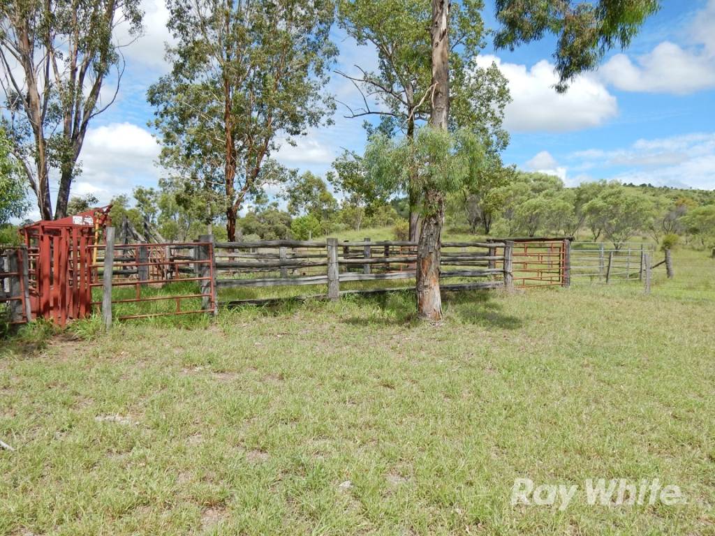 "Scrubview" Frawleys Road, Thangool For Sale by Farmbuy.com - image 28