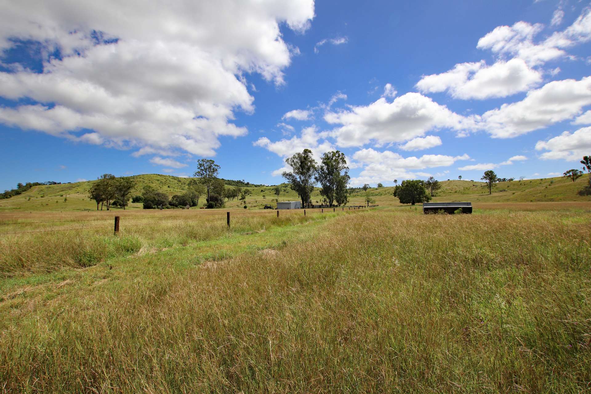 "Scrubview" Frawleys Road, Thangool For Sale by Farmbuy.com - image 10