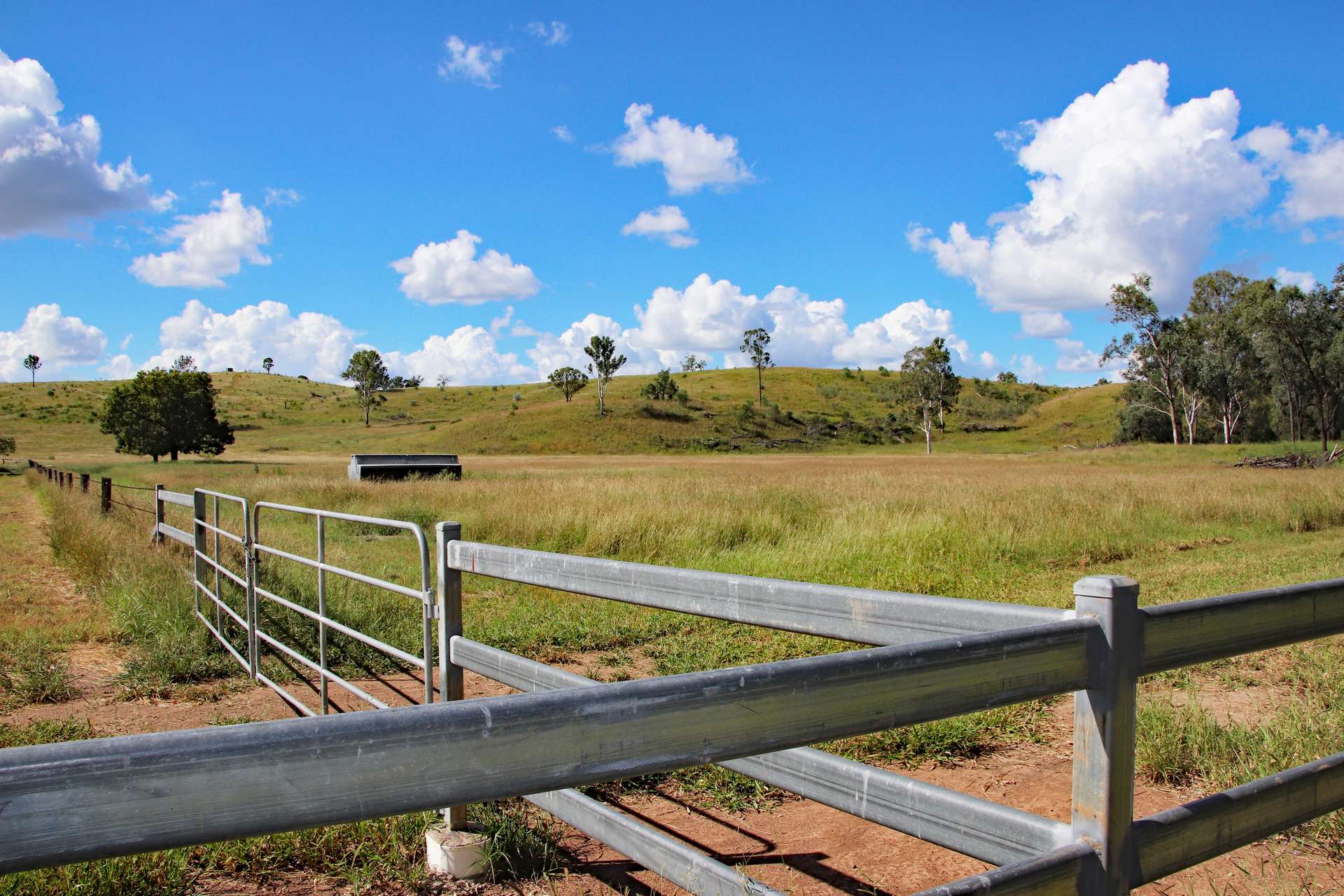 "Scrubview" Frawleys Road, Thangool For Sale by Farmbuy.com - image 4