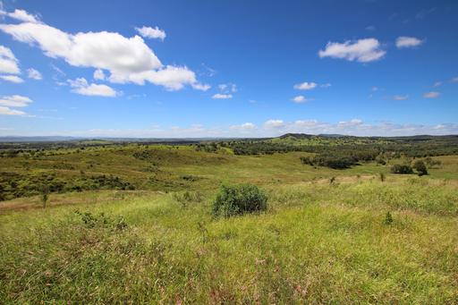 "Scrubview" Frawleys Road, Thangool QLD 4716