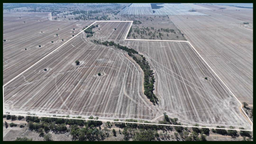 Lot 101 DP 1168983 Cheecome Road, Moree For Sale by Farmbuy.com - image 2