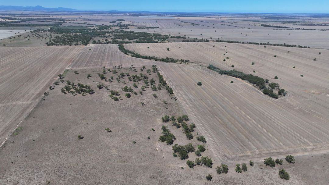 Lot 101 DP 1168983 Cheecome Road, Moree For Sale by Farmbuy.com - image 3