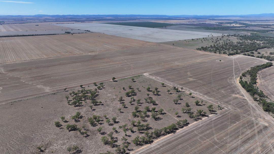Lot 101 DP 1168983 Cheecome Road, Moree For Sale by Farmbuy.com - image 2