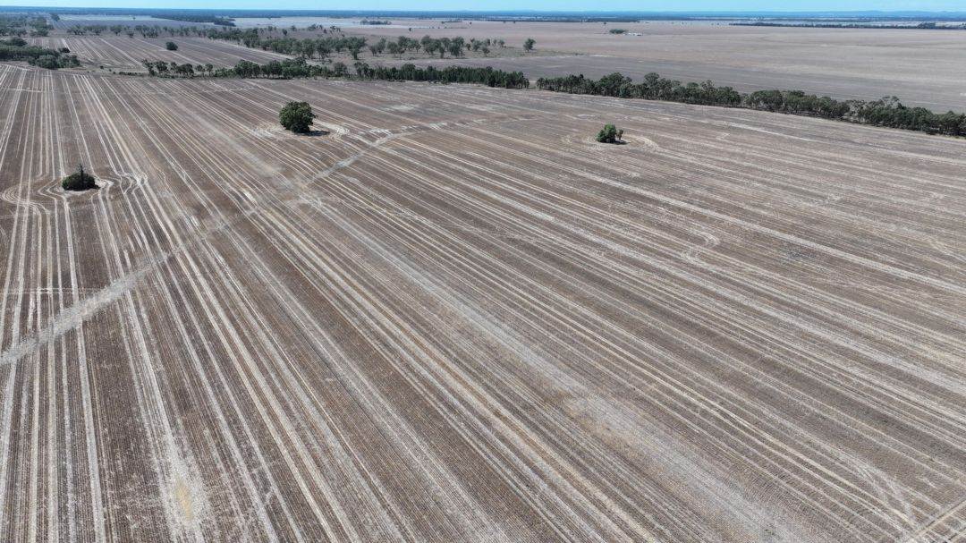 Lot 101 DP 1168983 Cheecome Road, Moree For Sale by Farmbuy.com - image 5