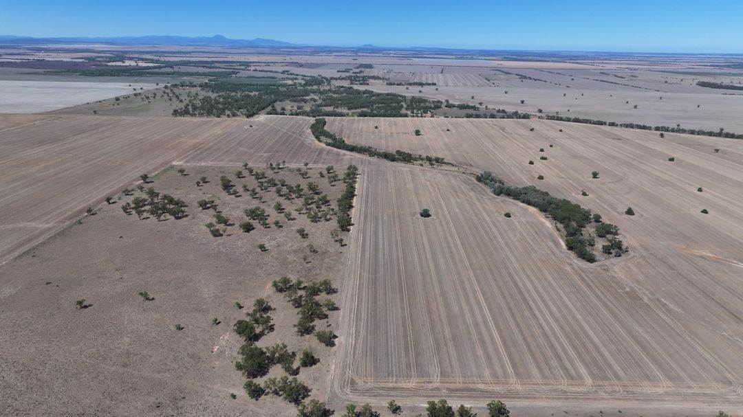 Lot 101 DP 1168983 Cheecome Road, Moree For Sale by Farmbuy.com - image 10