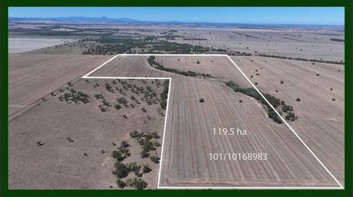 Lot 101 DP 1168983 Cheecome Road, Moree NSW 2400