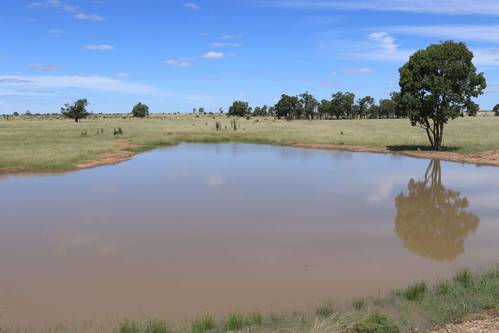 952 Yuleba Surat Road, Yuleba For Sale by Farmbuy.com - image 15