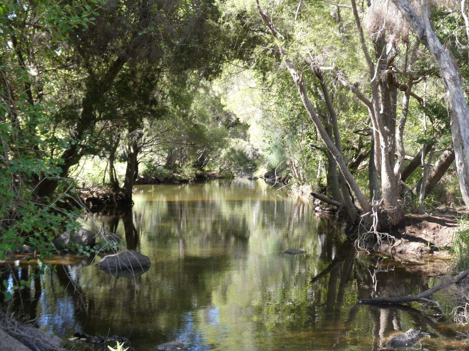 L63 & L99 Summers Road, Ginoondan For Sale by Farmbuy.com - image 18