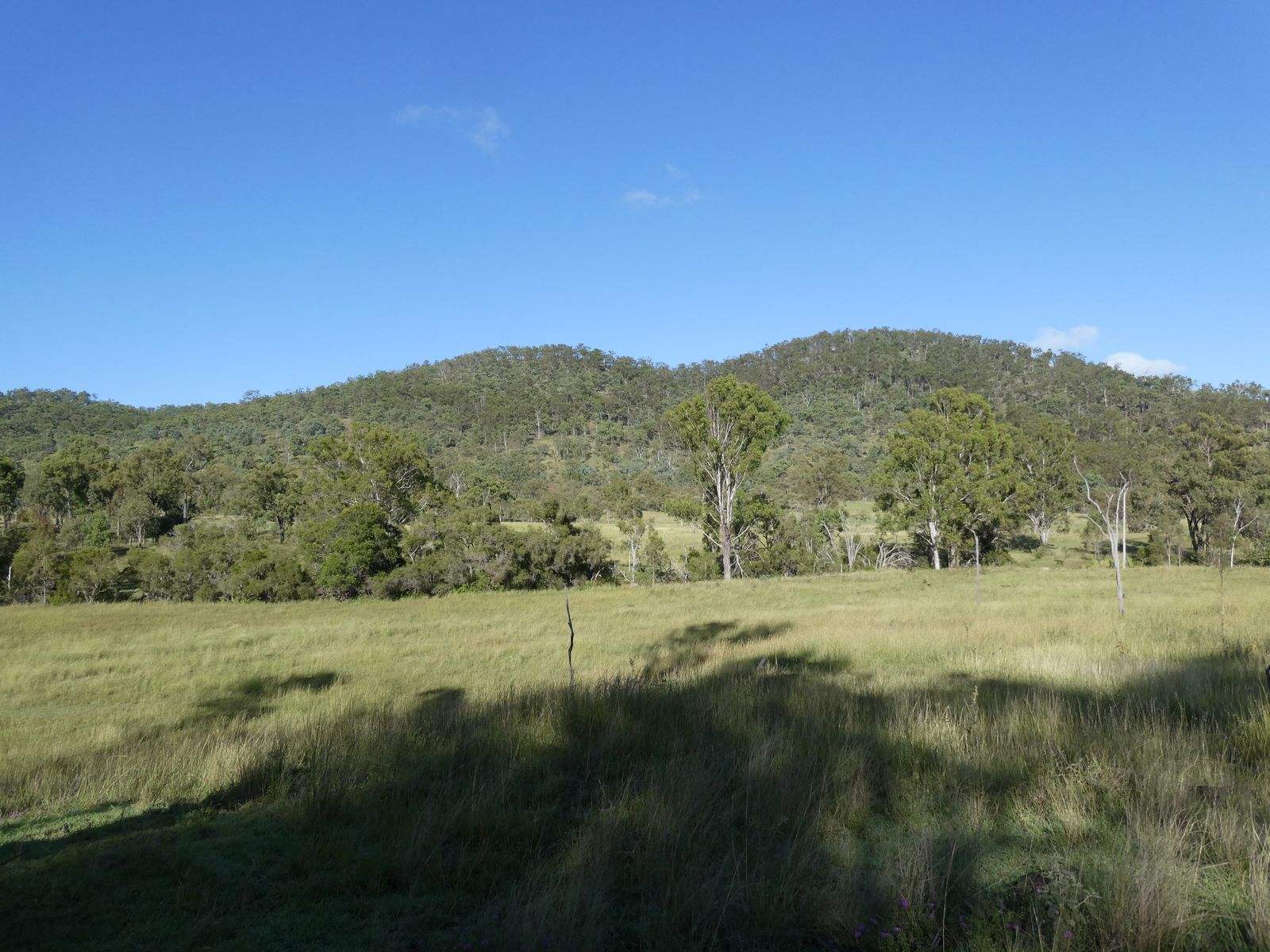 L63 & L99 Summers Road, Ginoondan For Sale by Farmbuy.com - image 30