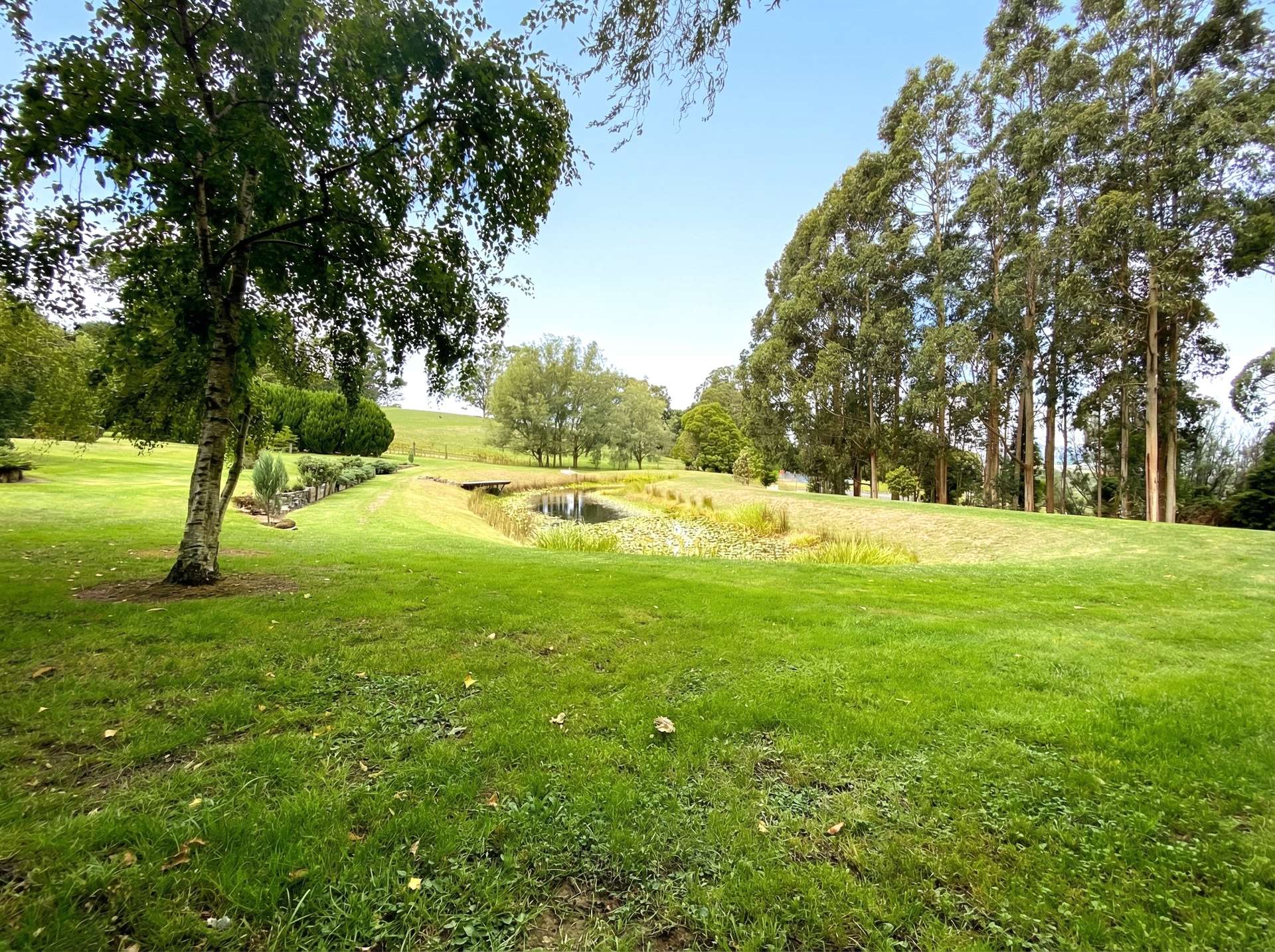 30 O'Malleys Road, Mardan For Sale by Farmbuy.com - image 29