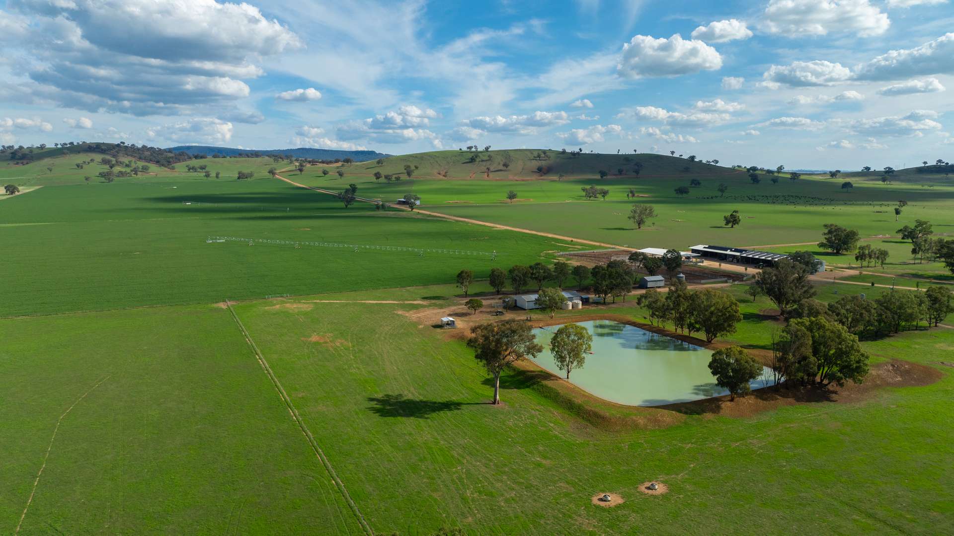 1948 Coach Road, Morven For Sale by Farmbuy.com - image 14