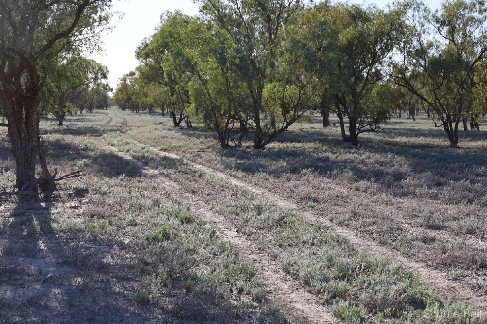 1632 West Culgoa Rd, North Bourke Auction by Farmbuy.com - image 11