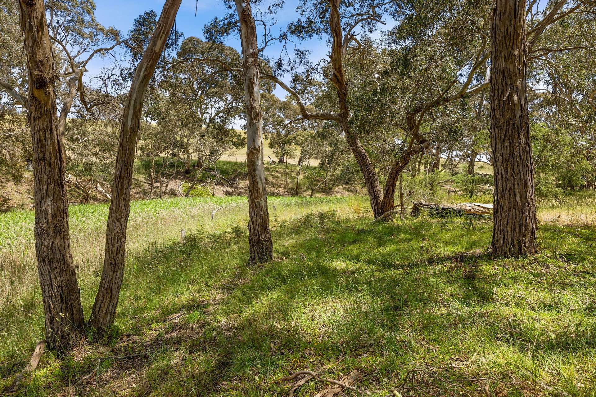 231 Grossmans Road, Torquay For Sale by Farmbuy.com - image 28