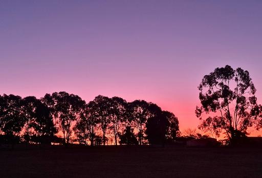 2011 Davys Plains Road&comma; Cargo Via, Orange NSW 2800