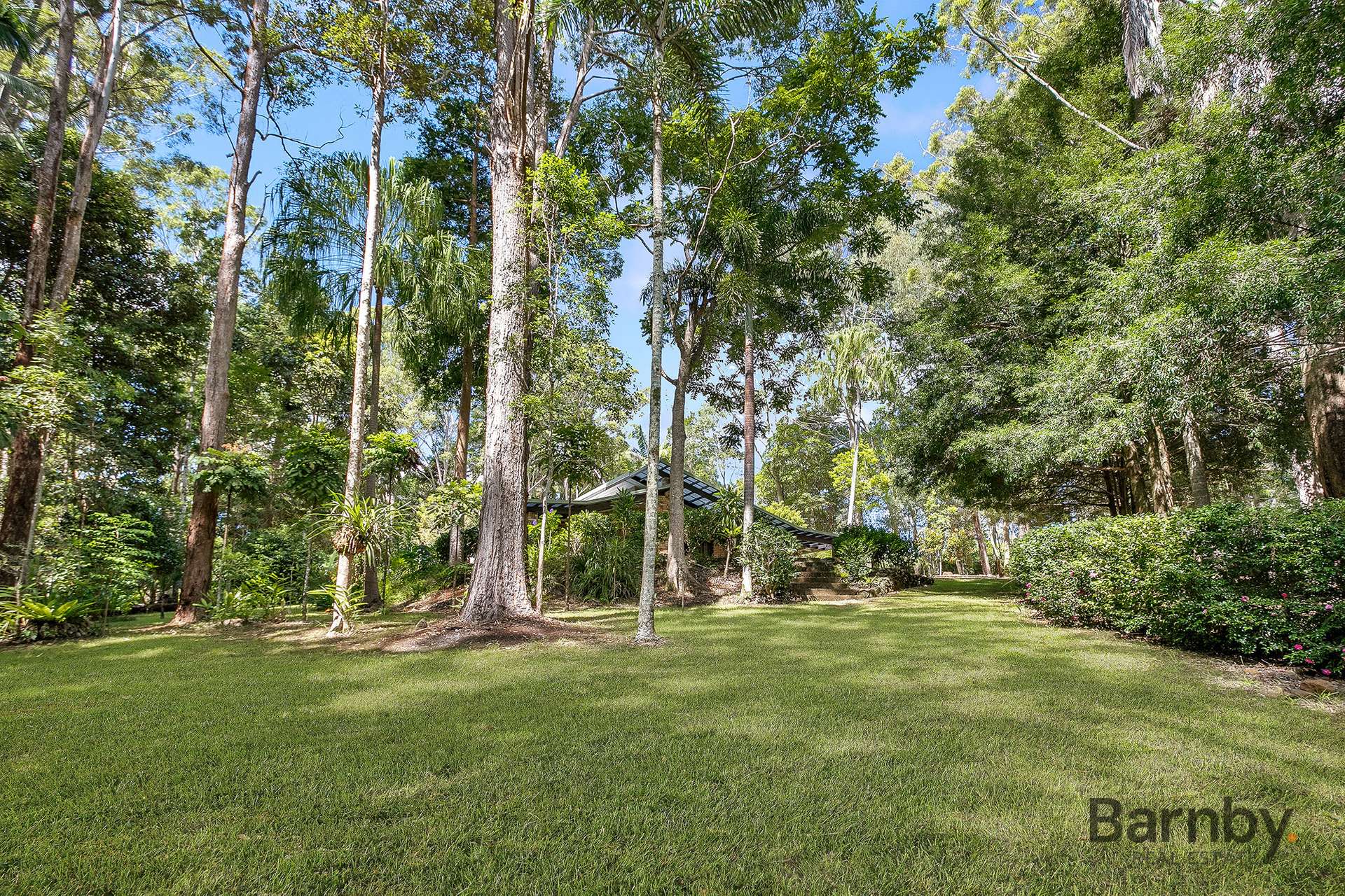 220 Dulong Road, Dulong For Sale by Farmbuy.com - image 17