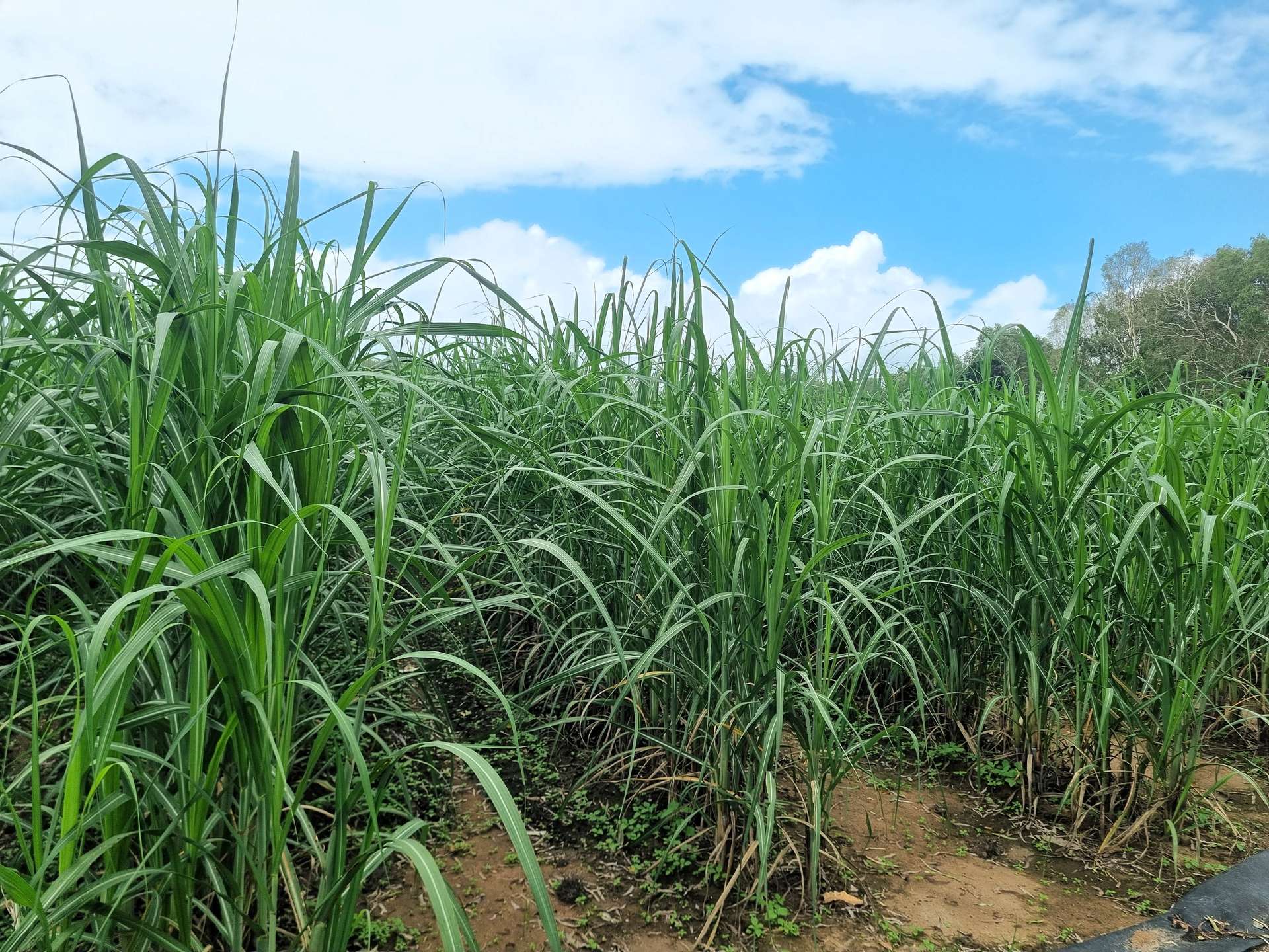 Oakenden For Sale by Farmbuy.com - image 2