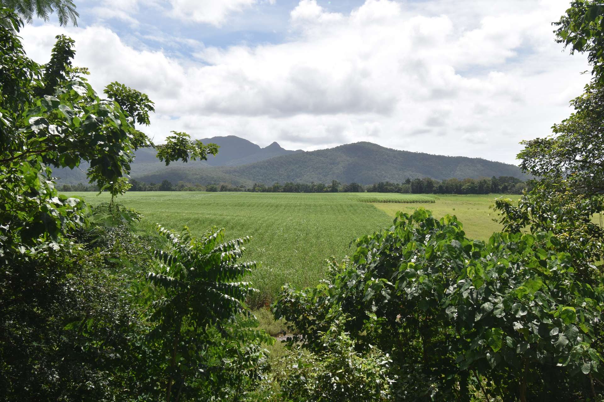 962 Abergowrie Road, Trebonne For Sale by Farmbuy.com - image 19