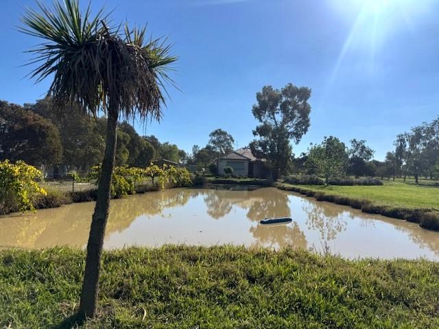 1997 Restdown Road, Echuca For Sale by Farmbuy.com - image 3