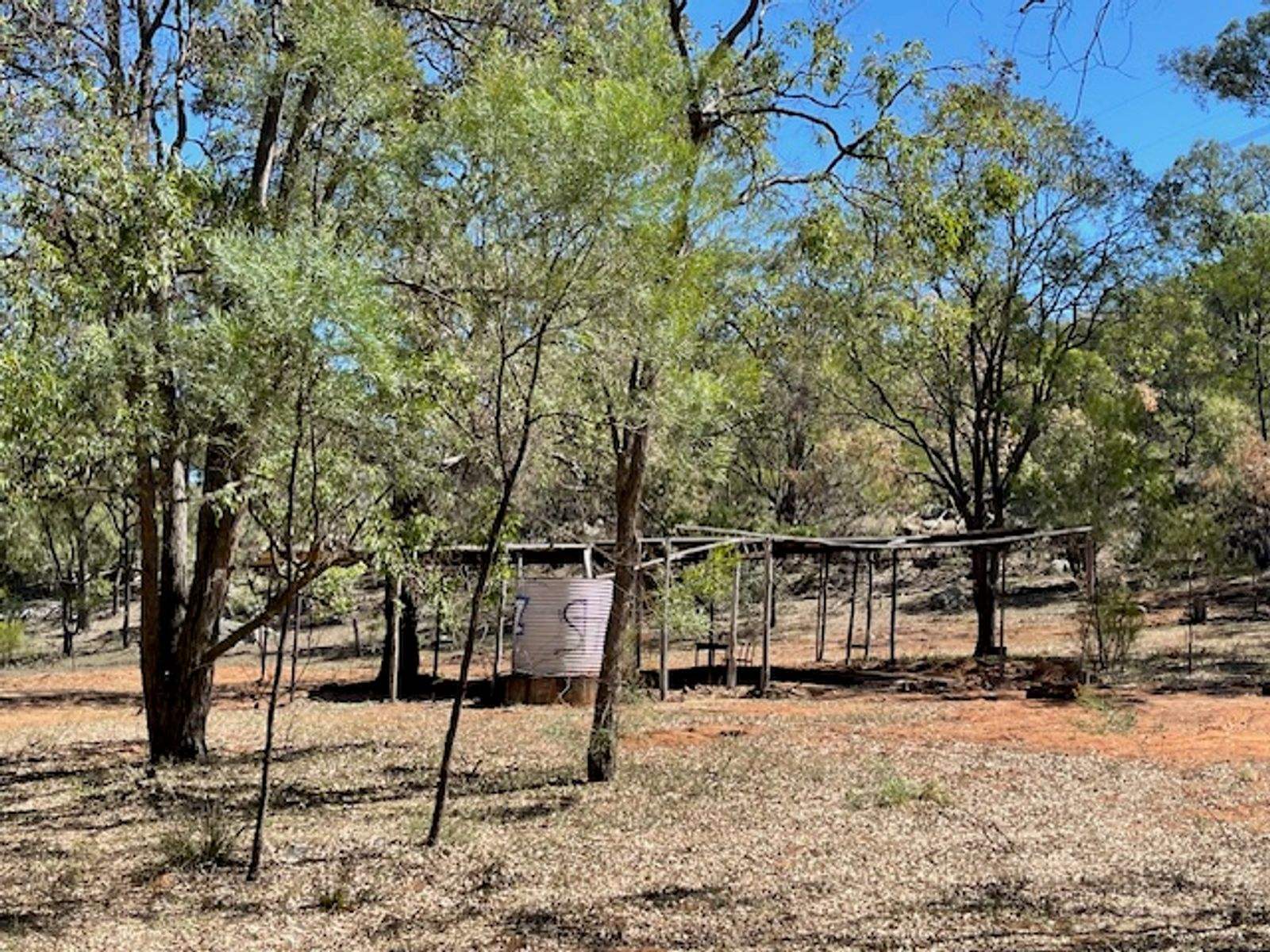 1364 Giants Creek Road, Sandy Hollow For Sale by Farmbuy.com - image 6