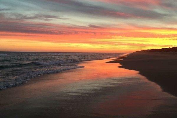 Lot 1, 99 Byrnes Road, Woodside Beach For Sale by Farmbuy.com - image 8