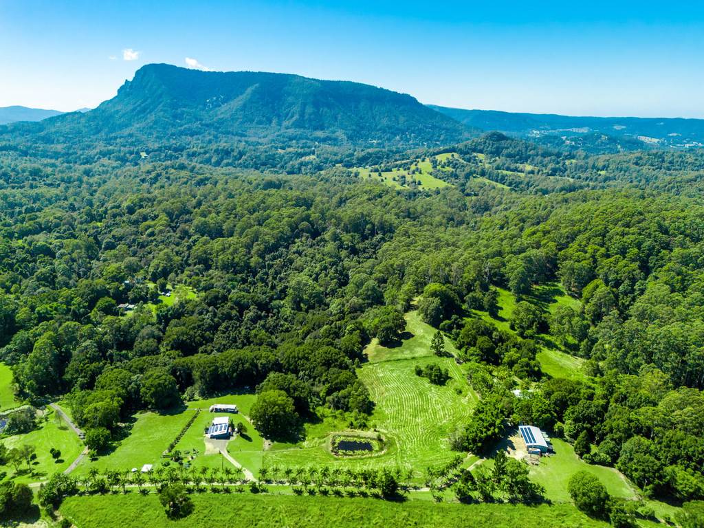 61 Tallowood Road, Lillian Rock NSW 2480