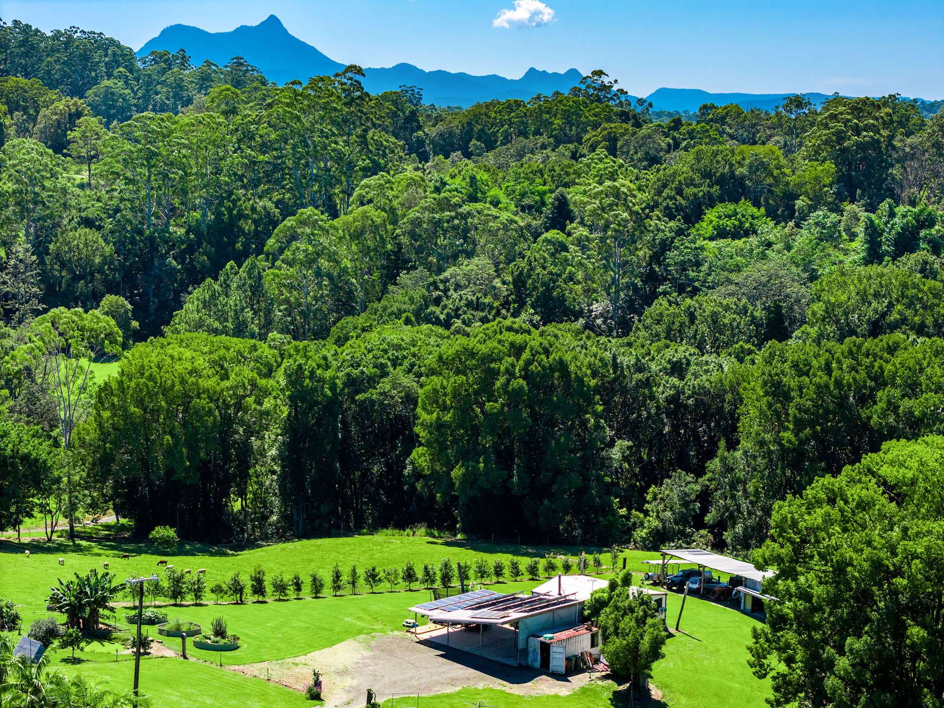 61 Tallowood Road, Lillian Rock For Sale by Farmbuy.com - image 31