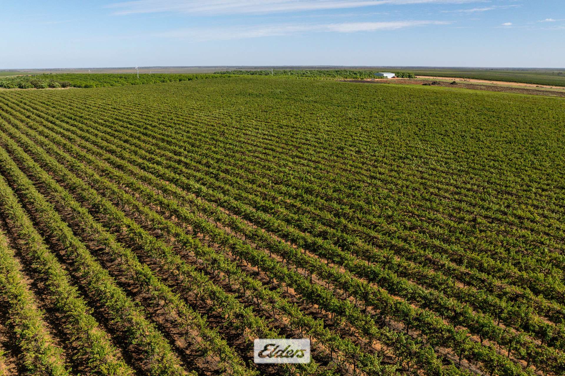 135 Red Hill Road, Pomona For Sale by Farmbuy.com - image 35