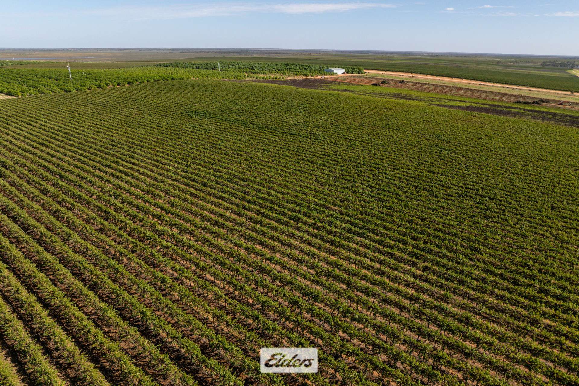 135 Red Hill Road, Pomona For Sale by Farmbuy.com - image 33