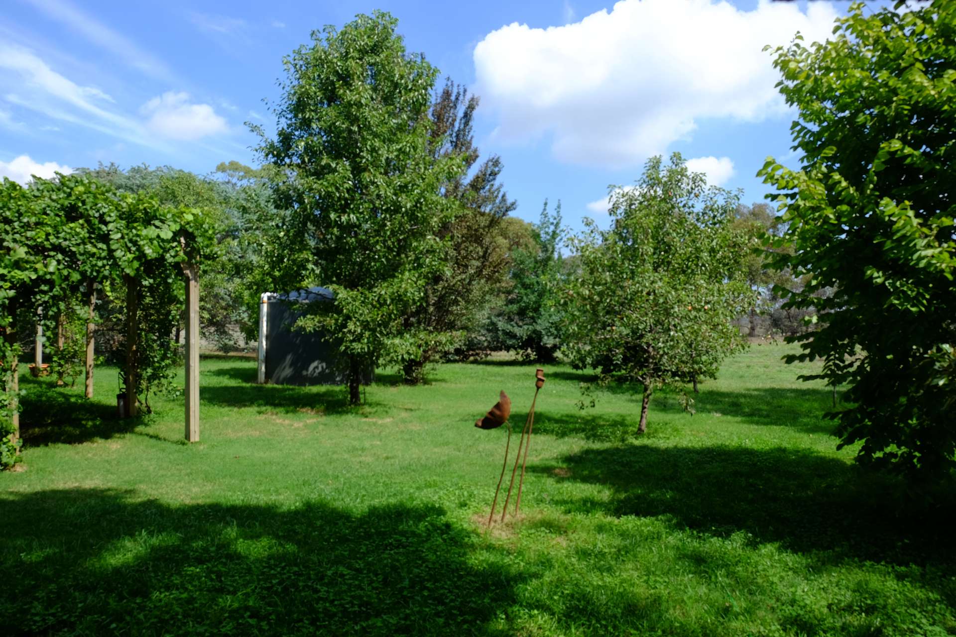 1165 Chapel Road, Katamatite For Sale by Farmbuy.com - image 11