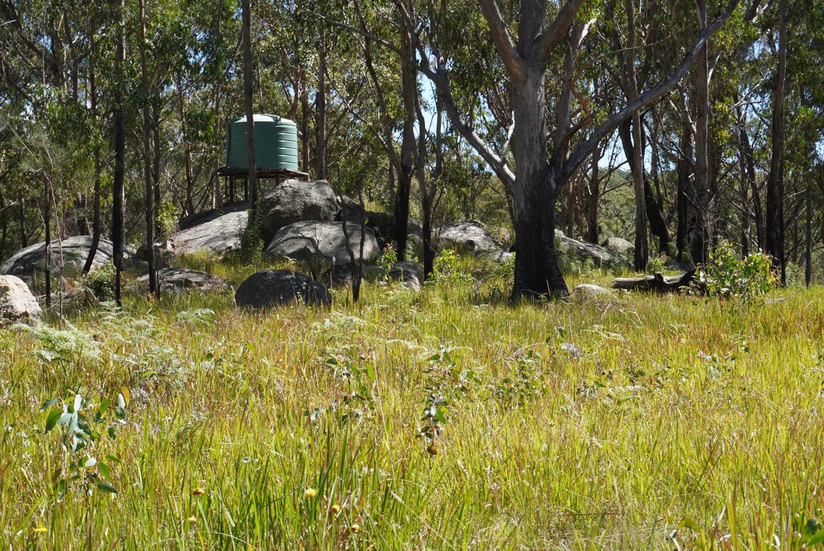 1293 Mount Lindesay Road, Tenterfield For Sale by Farmbuy.com - image 21