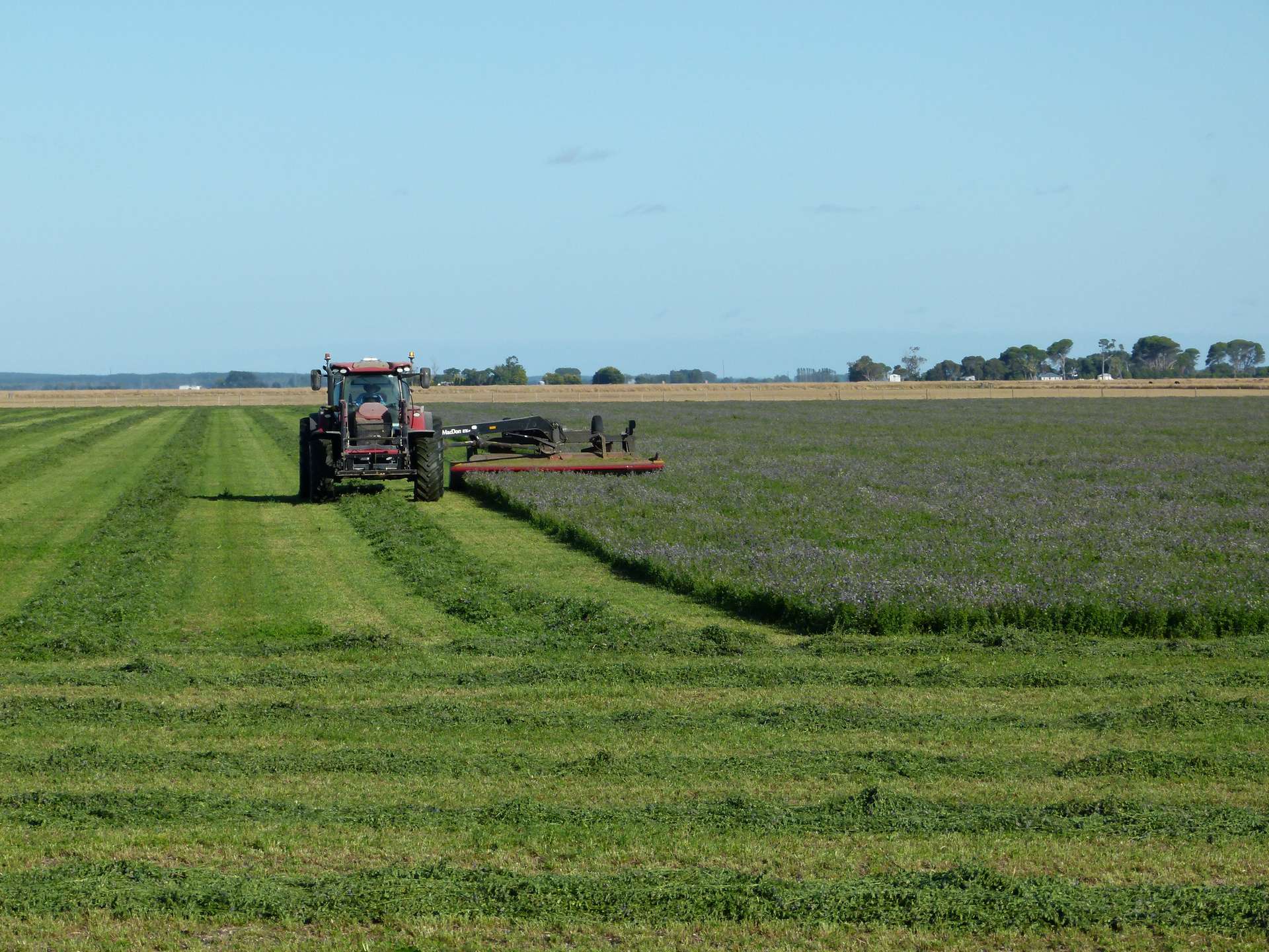 44 Mount Burr Road, Millicent Auction by Farmbuy.com - image 2